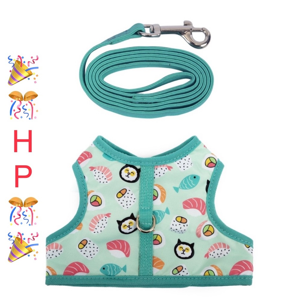 🎉🎊2X HP🆕 Vibrant Life Polyester Sushi Walking Cat, Harness Teal Color One Sz